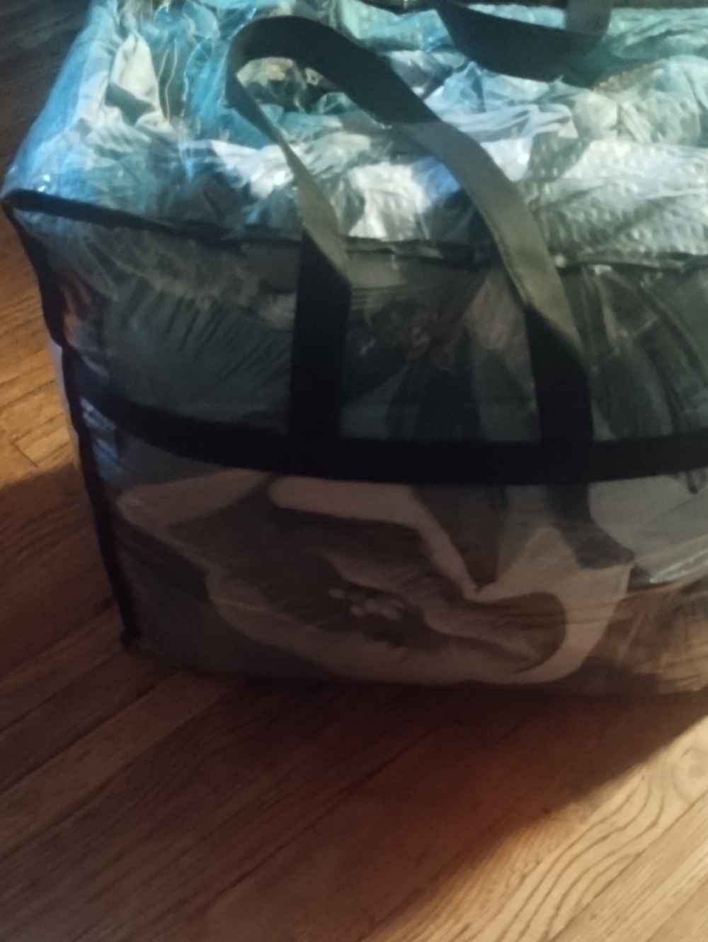 Clear Storage Bag with Black Handles and Trim